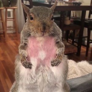 Meet your Posher, Moner